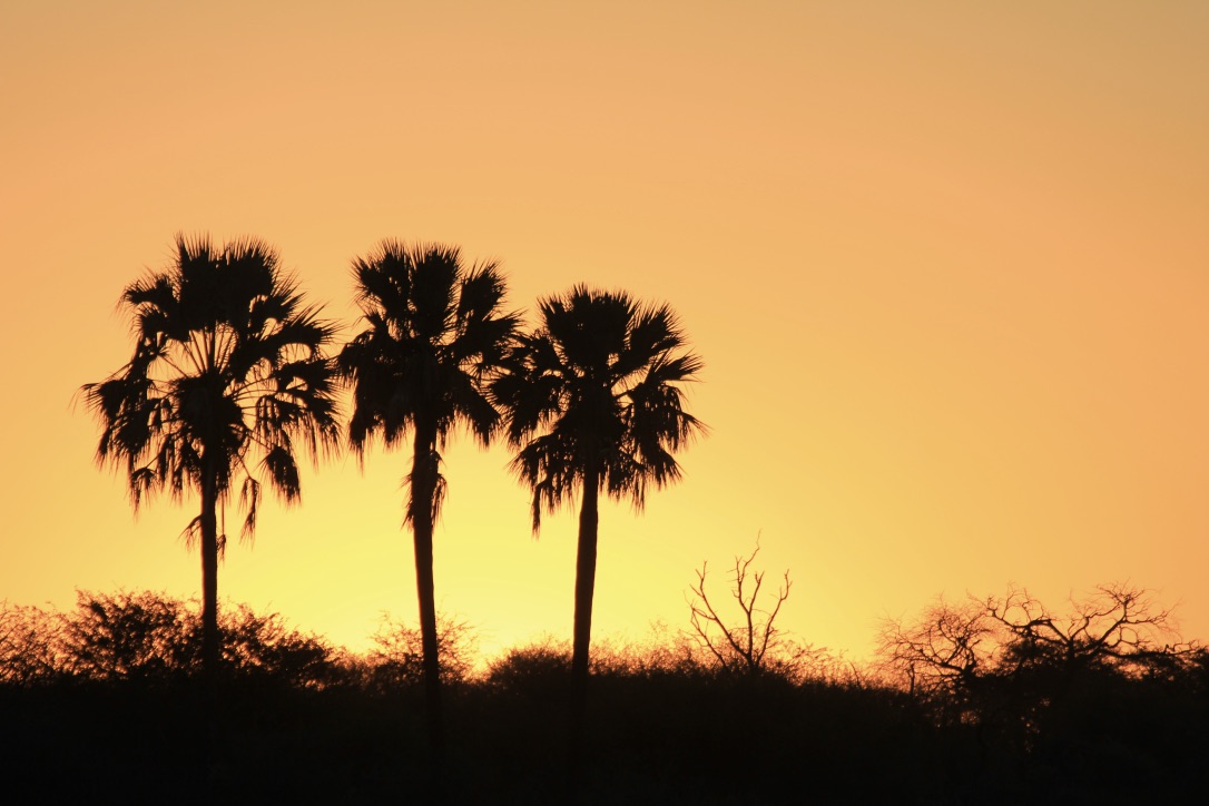 Botswana - sundowner