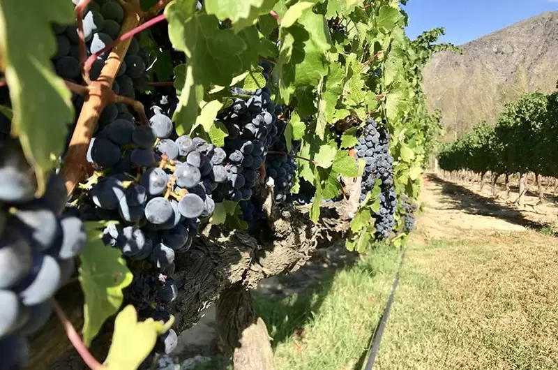 Vinalland Vinalland