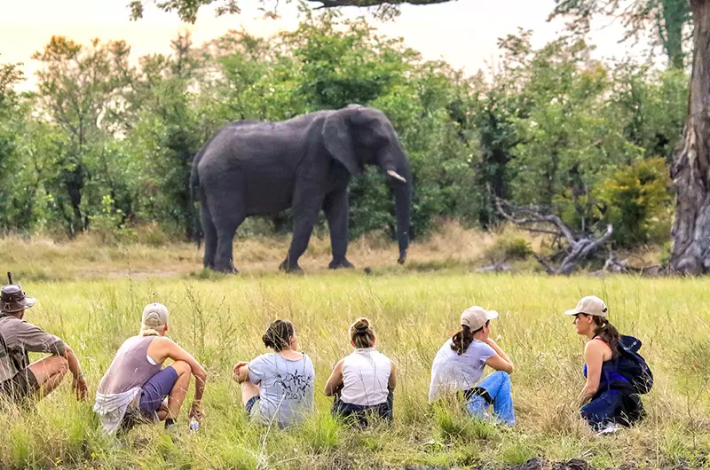 Imvelo Safari Lodges – featured – Elin