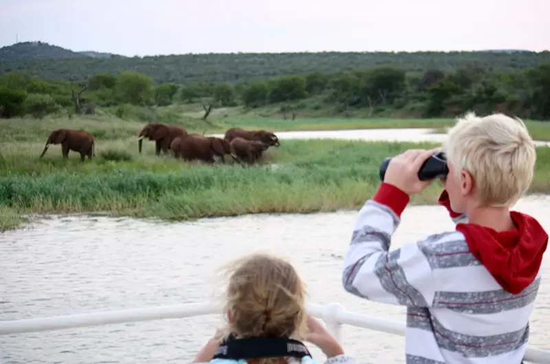Kids on safari – feauture image
