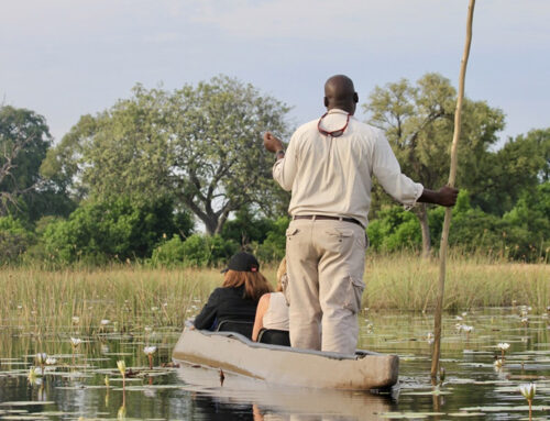 Bli kjent med Botswana