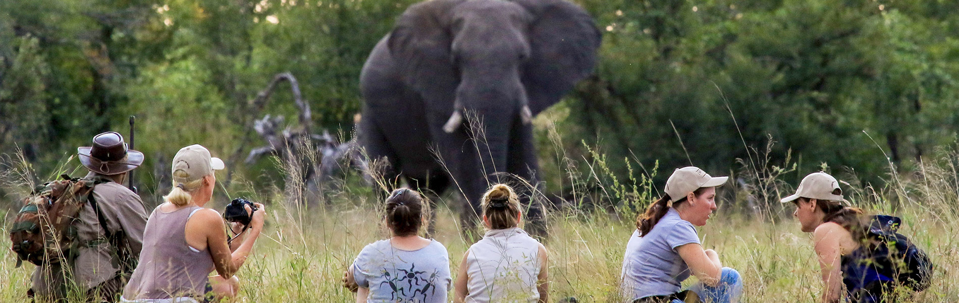 Imvelo Safari Lodges – Nehimba – Zim Imvelo Safari Lodges - Nehimba - Zim - header. blogg