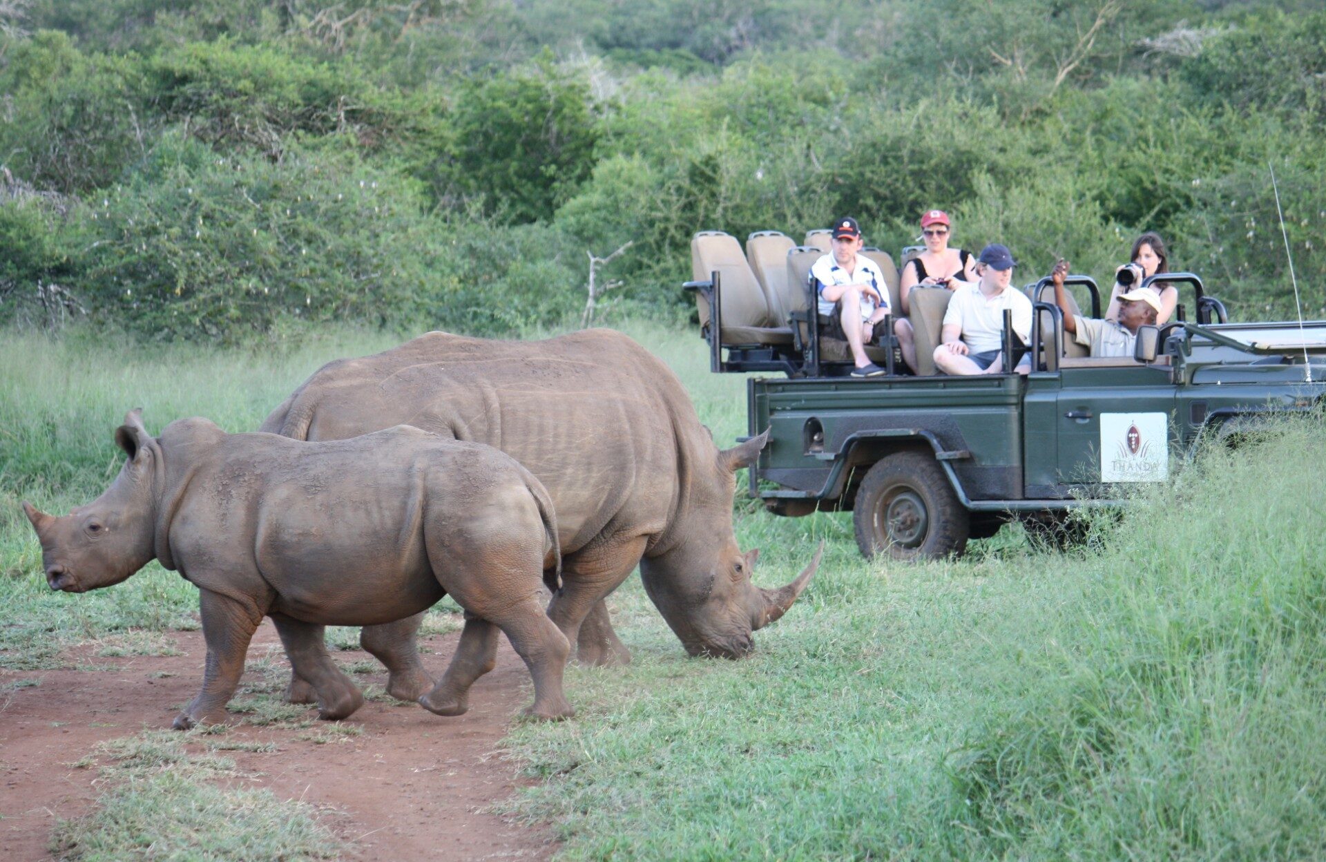 Rhino Thanda Tented Camp